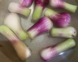 A picture of step 1 of Spring onion soup.