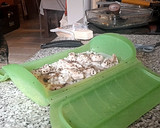 Foto del paso 5 de la receta: Risotto con Pollo y Setas con Aceite y Albahaca
