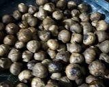 Foto langkah ke 6 dari resep Black Garlic Home Made.