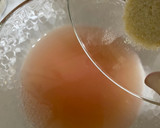Foto del paso 2 de la receta: Grapefruit panna cotta 🍮