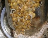 Foto del paso 6 de la receta: Brotes de lentejas y girasol