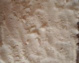 Foto del paso 1 de la receta: Pizza vegetal