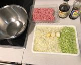 Foto del paso 2 de la receta: Gyoza