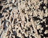 Foto del paso 1 de la receta: Harina de almendras desde bagazo u okara de "leche" de almendras ♻️ receta de aprovechamiento ♻️