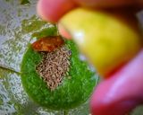 A picture of step 3 of Guava Chutney.