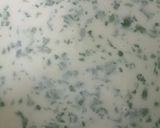Foto del paso 19 de la receta 🍰Tarta de mojito🍸🌿🍋