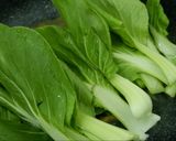 Foto langkah ke 5 dari resep Tumis sayur Pak Choy.