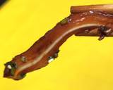 ยำหูหมูแบบเสฉวน วิธีทำสูตร 4 รูป