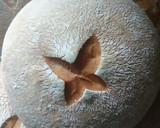 Foto del paso 7 de la receta: Pan campesino