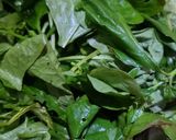 Foto langkah ke 1 dari resep 221. Tumis Pucuk Lumai.