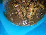 Tamarind juice