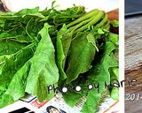 瑪莉廚房：蒜炒菠菜的食譜步驟1照片