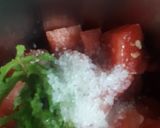 A picture of step 1 of Watermelon slush.