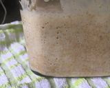 Foto del paso 6 de la receta Panadería: Masa madre (primera versión)
