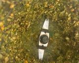 A picture of step 2 of Tomato Rasam.