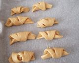 Foto del paso 9 de la receta: Envueltitos de manzana