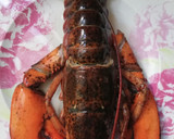 Foto del paso 3 de la receta: Arroz con bogavante