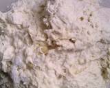 Pizza Series - The Pizza Dough recipe step 7 photo