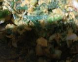 A picture of step 4 of Green Onion Fritters.