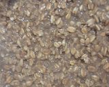 Foto del paso 2 de la receta: Turrón de avena arrollada (quaker)