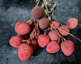 लीची स्मूदी (Lychee Smoothie) रेसिपी चरण 1 फोटो