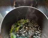 A picture of step 2 of Butterfly peas Tea.