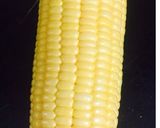 A picture of step 1 of Crispy Corn Kernels.