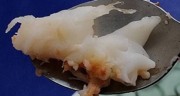 16 กุ้งมังกรแดงย่าง