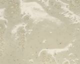 A picture of step 1 of Best creamy vanilla ice-cream.