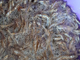 Wet fried Omena