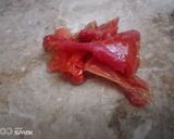 A picture of step 5 of Charsi Karahi.