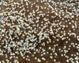 A picture of step 2 of Walnut barfi.