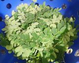 A picture of step 1 of Moringa leaves parathe.