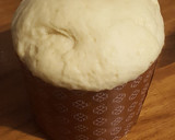 Foto del paso 5 de la receta: Pan Dulce "El Promedio"