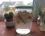 A picture of step 1 of Fermented Apple Water for sourdough Breads.