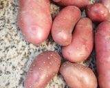 Une image de l'étape 1 de Pomme de terre désirée🥔 fondue aux quatre fromages🧀🌶️.