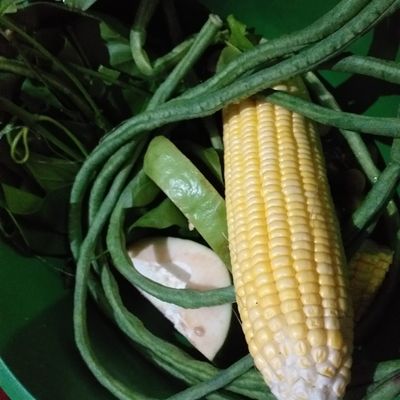Langkah 1