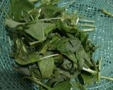 Foto langkah ke 1 dari resep Sayur Bening.