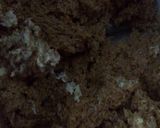 Foto del paso 2 de la receta: Pan de salvado esponjoso