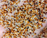 A picture of step 1 of Sprouted ragi salad.