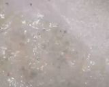 Foto del paso 7 de la receta: Sopa cultivateur a la Pereyra