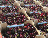 Foto del paso 7 de la receta: Cheesecake de cerezas 🍒