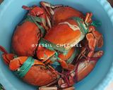 Foto langkah ke 4 dari resep Kare Kepiting.