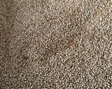 A picture of step 2 of Quinoa ladoo.