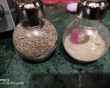 A picture of step 1 of Dal hyderabadi.