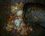 Foto langkah ke 3 dari resep Tahu baso jamur goreng.