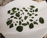 A picture of step 3 of Drying Basil the Fast Way.