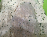 Foto del paso 4 de la receta: Suprema de pollo rellena