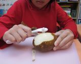 【展賦小廚】馬鈴薯培根司康的食譜步驟1照片