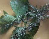 Foto del paso 2 de la receta: Guiso  de lentejas, remolacha, hierbas aromáticas y agua de mar